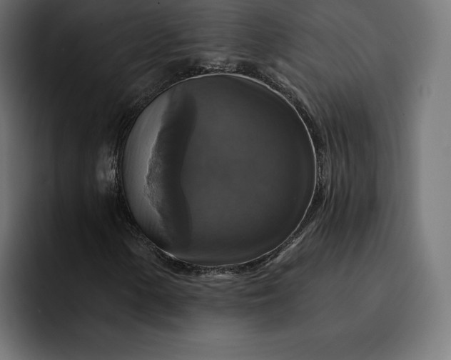 X0000093131154200710101053