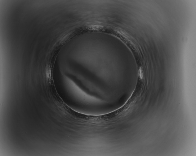 X0000093131155200710101053