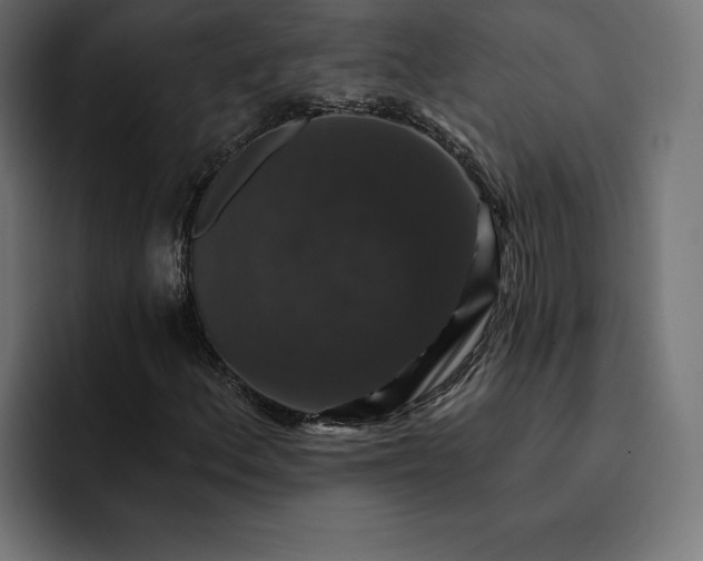 X0000093131156200710101053