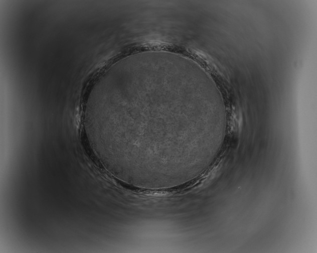 X0000093131157200710101053