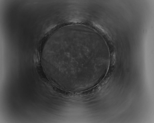 X0000093131158200710101053