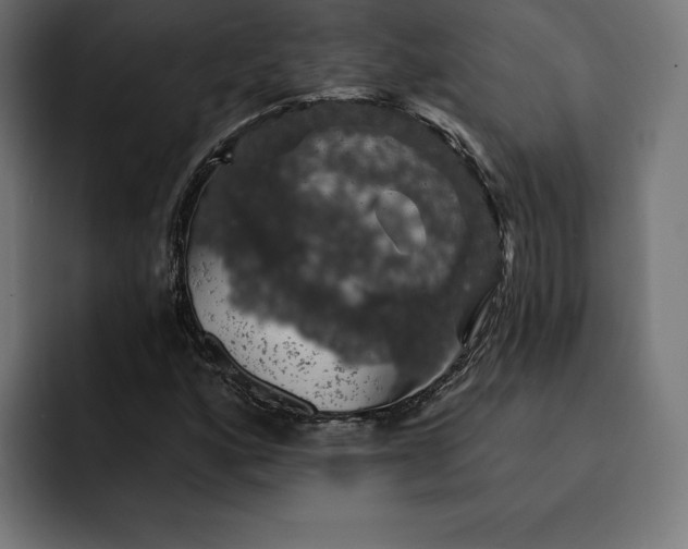 X0000093131160200710101053