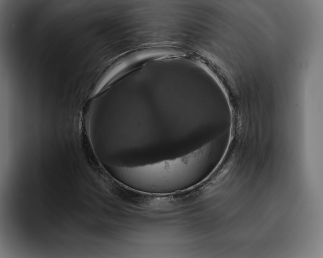 X0000093131161200710101053