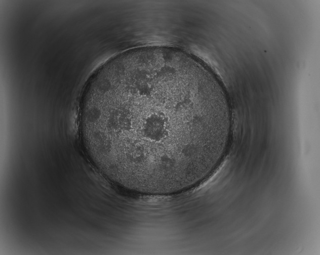 X0000093131163200710101053