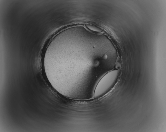 X0000093131164200710101053