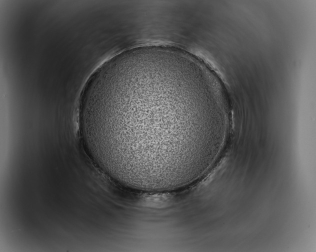 X0000093131165200710101053