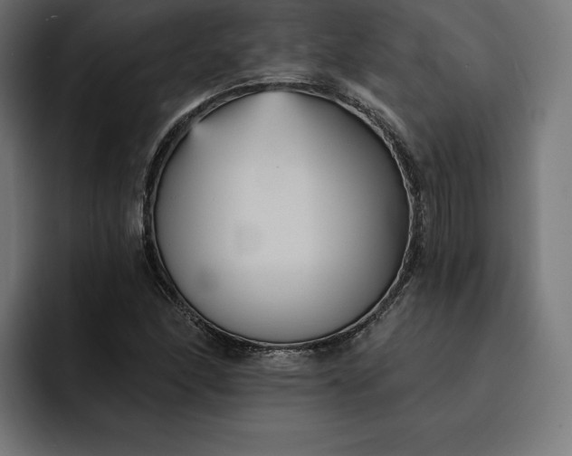 X0000093131166200710101053