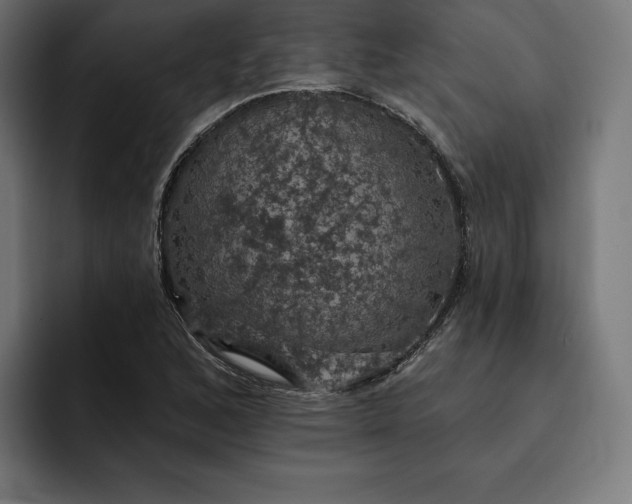 X0000093131168200710101053