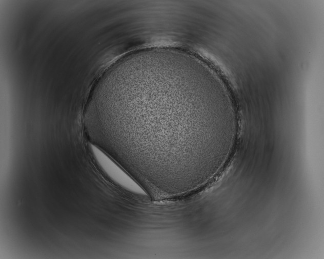 X0000093131169200710101053