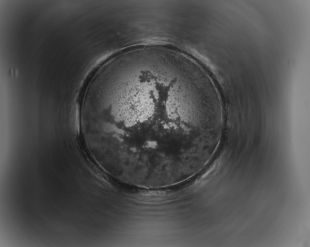 X0000093131171200710101053