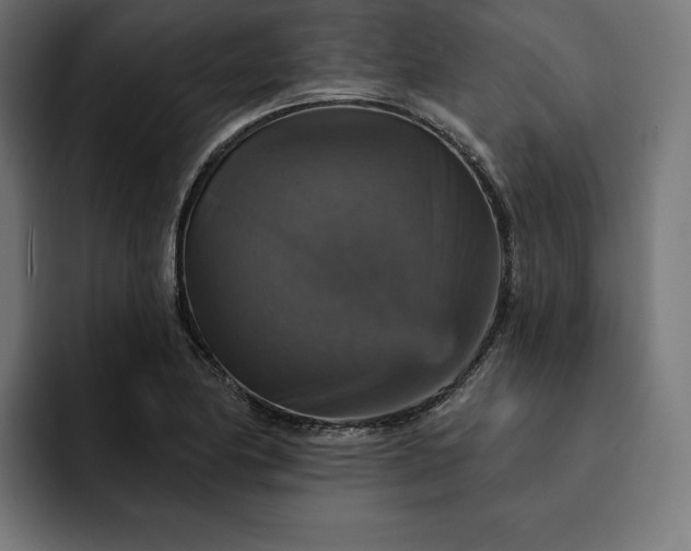 X0000093131174200710101053