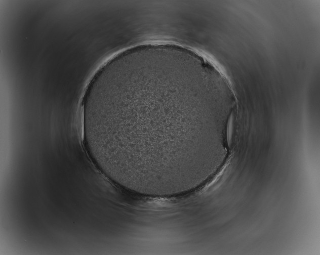 X0000093131175200710101053