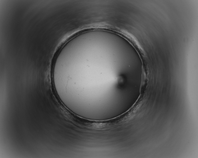 X0000093131176200710101053