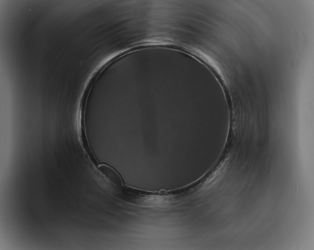 X0000093131179200710101053