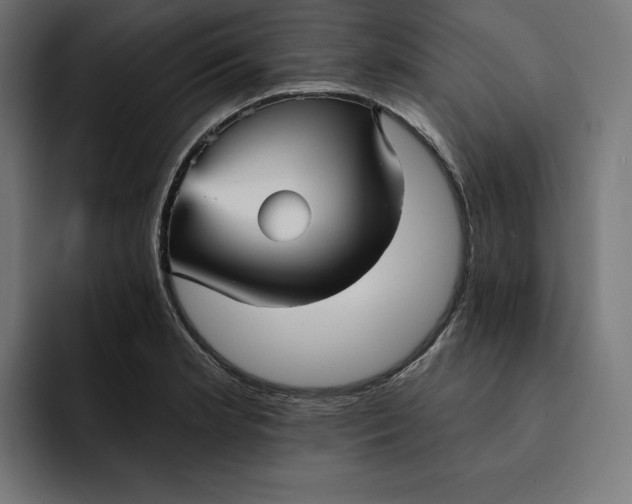 X0000093131181200710101053