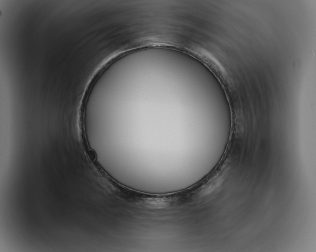 X0000093131182200710101053