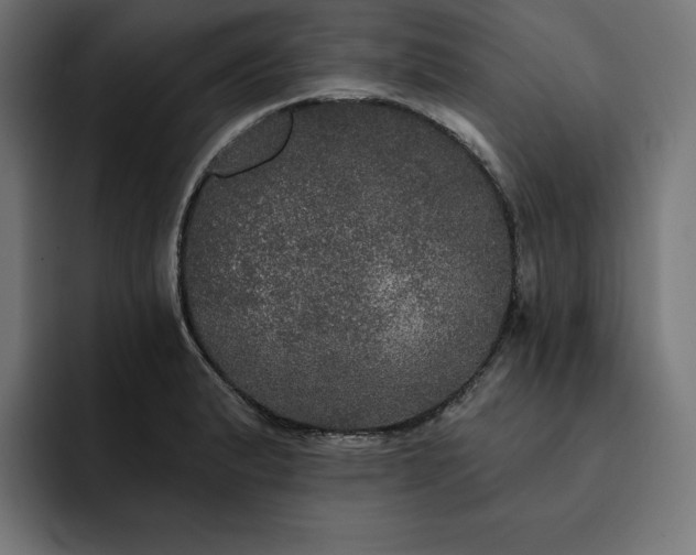 X0000093131183200710101053