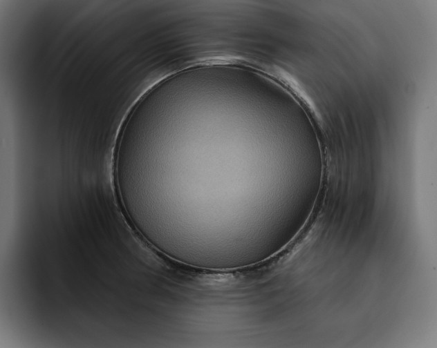 X0000093131186200710101053