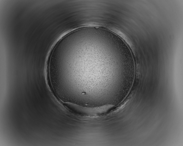 X0000093131187200710101053