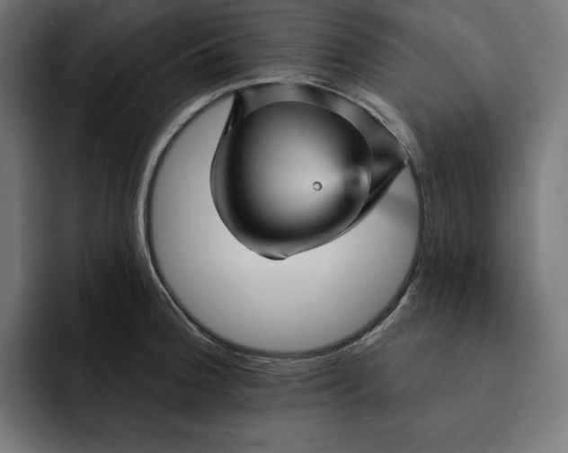 X0000093131188200710101053