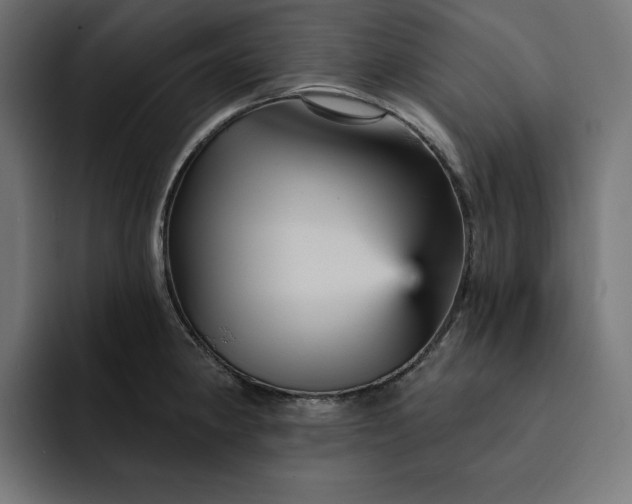 X0000093131190200710101053