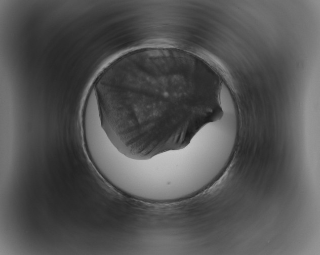 X0000093131192200710101053