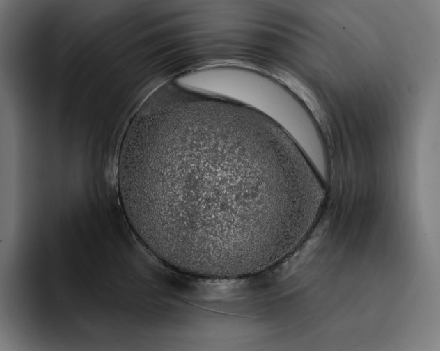 X0000093131193200710101053