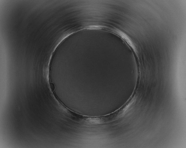 X0000093131194200710101053