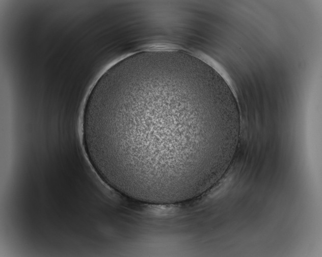 X0000093131195200710101053