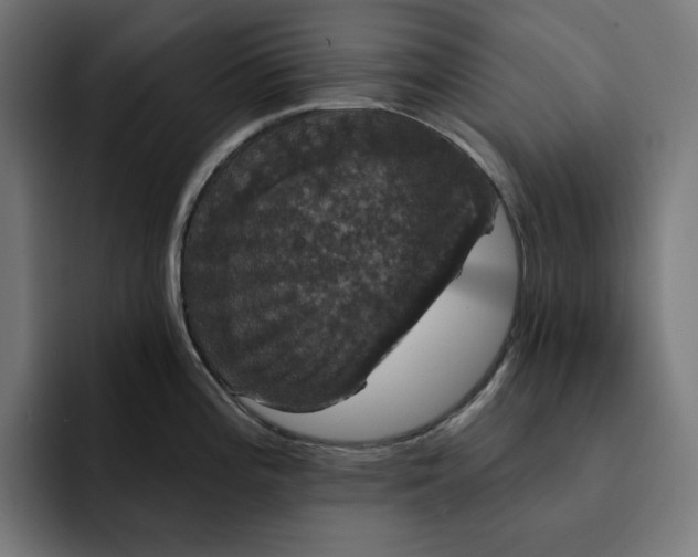 X0000093131196200710101053