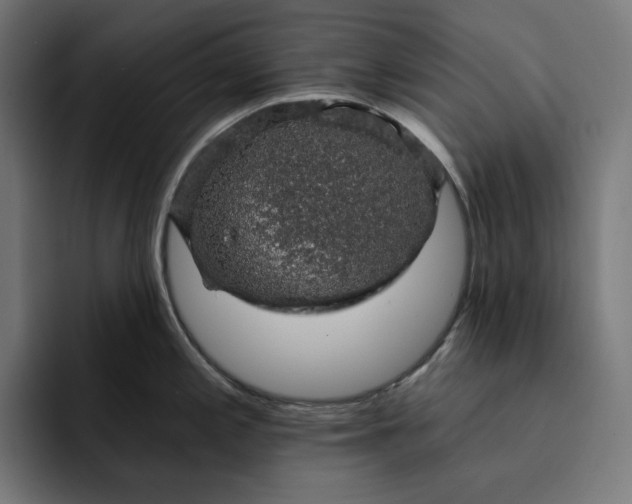 X0000093131197200710101053