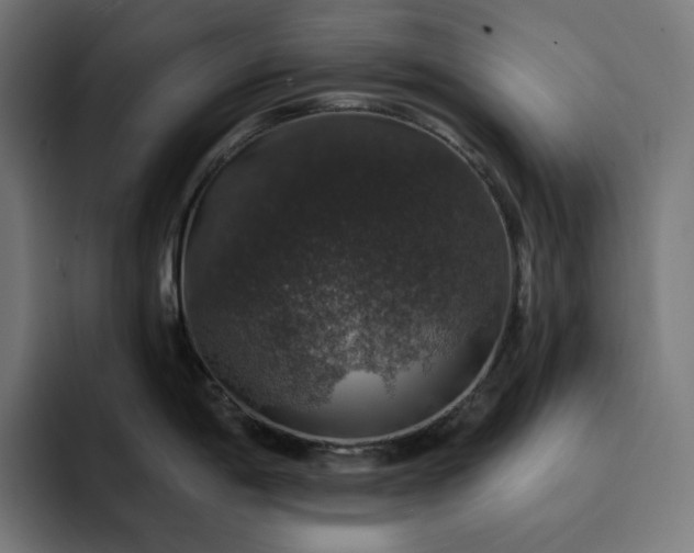 X0000093131198200710101053