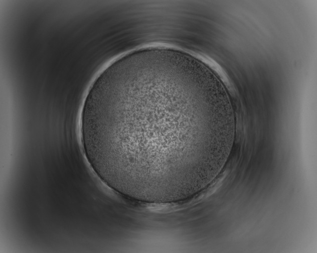 X0000093131199200710101053