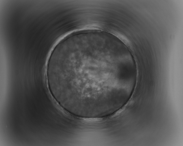 X0000093131200200710101053