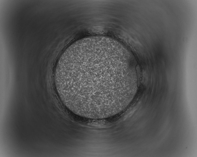 X0000093131201200710101052