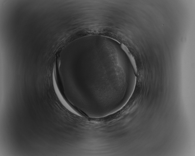 X0000093131202200710101052