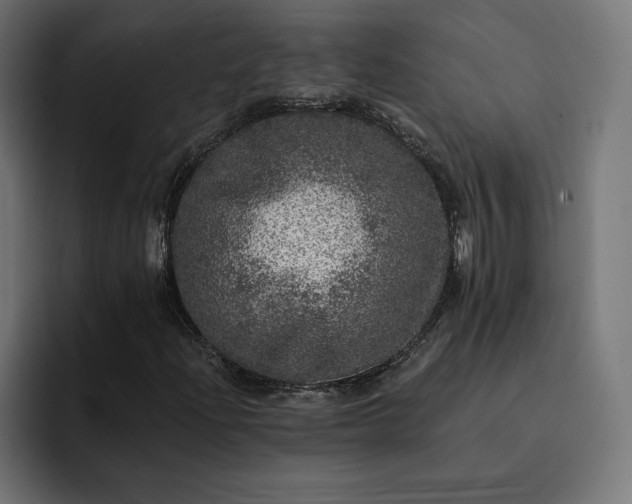 X0000093131204200710101052