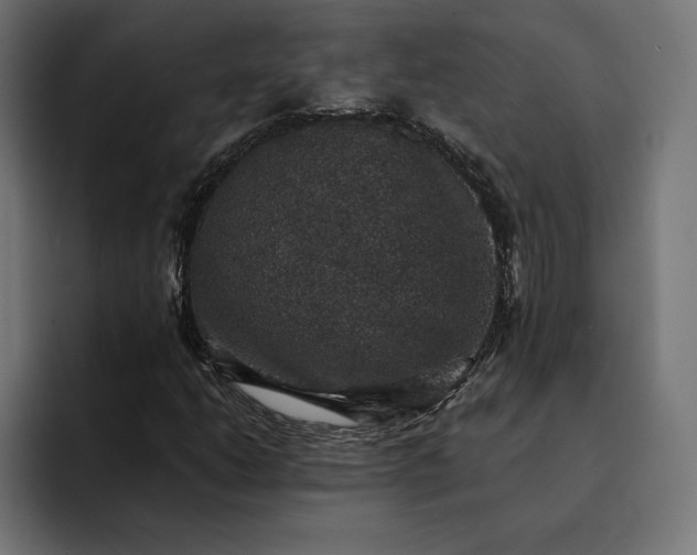 X0000093131206200710101052