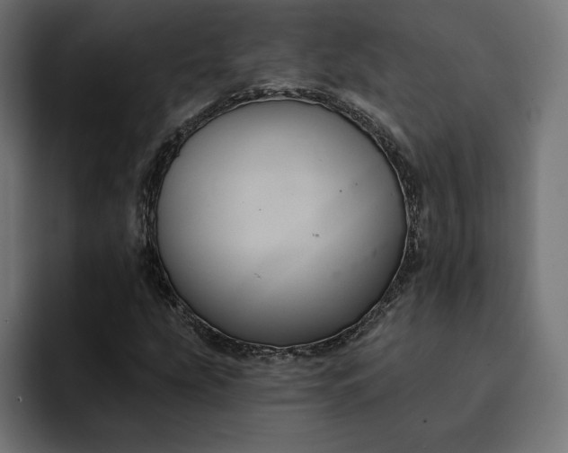 X0000093131207200710101052