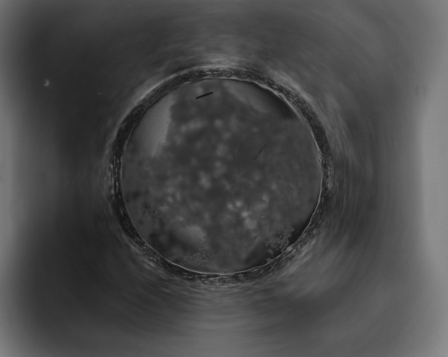 X0000093131208200710101052