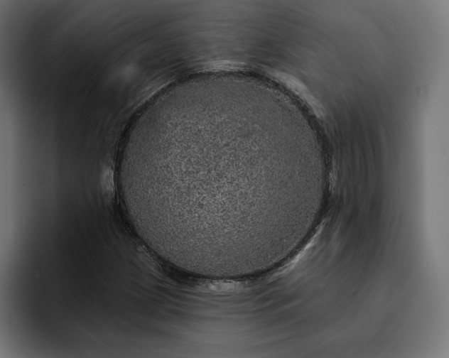 X0000093131209200710101052