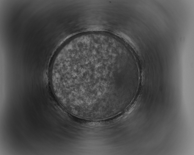 X0000093131212200710101053