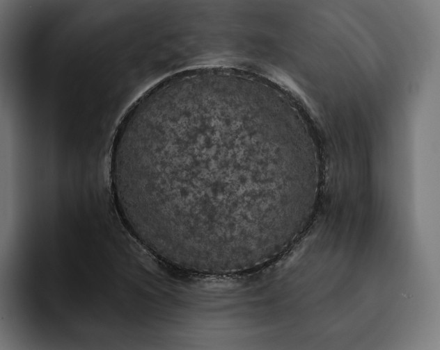 X0000093131216200710101053