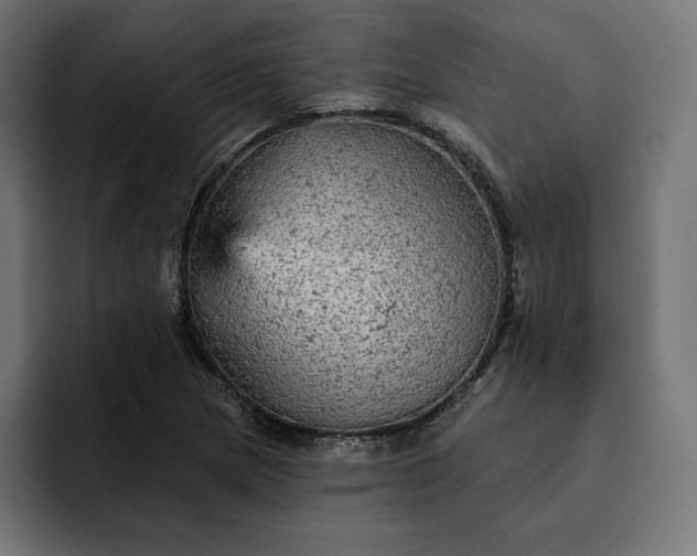 X0000093131217200710101053