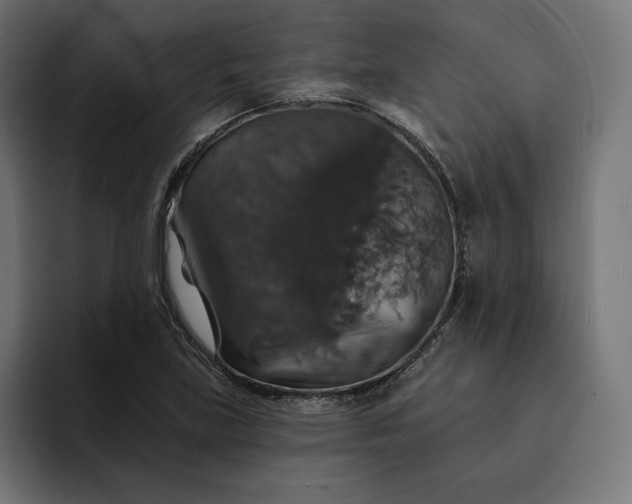 X0000093131219200710101053