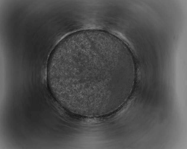 X0000093131220200710101053