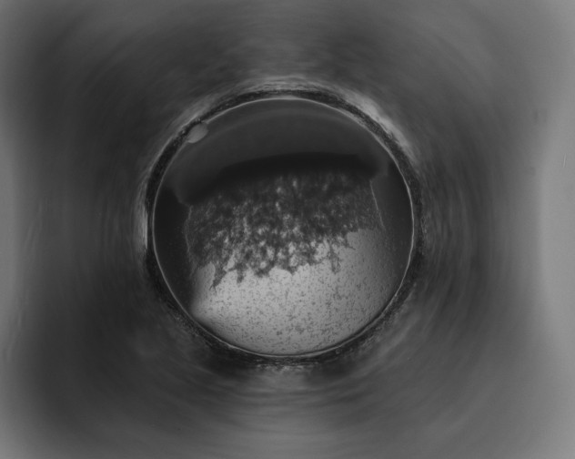 X0000093131221200710101053