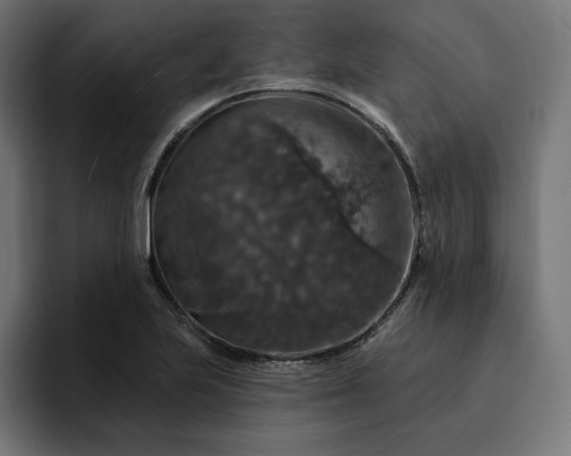 X0000093131223200710101053