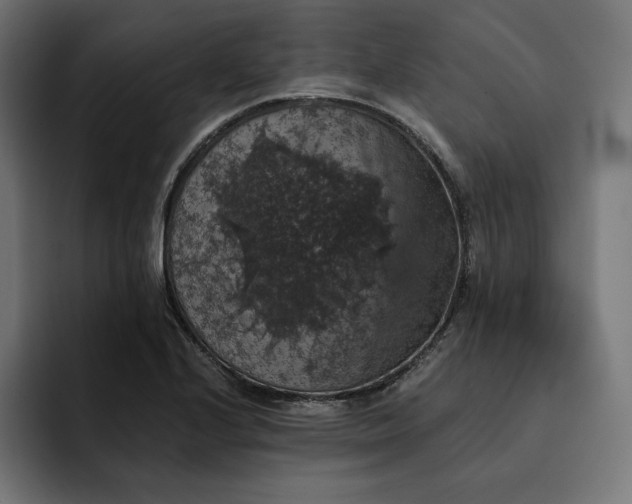 X0000093131224200710101053