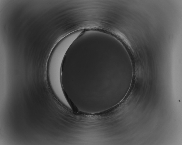 X0000093131226200710101053